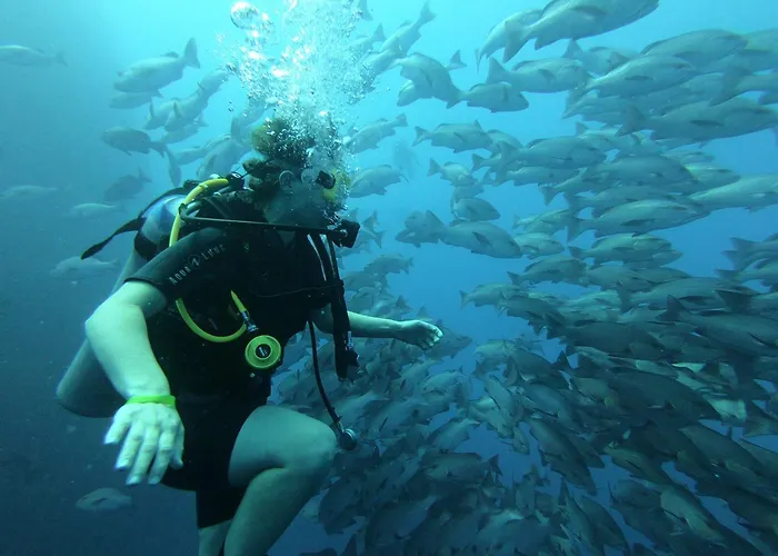 My In - Dive Center * Dahab